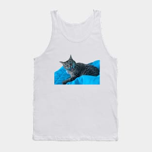 Funny Tabby Tank Top